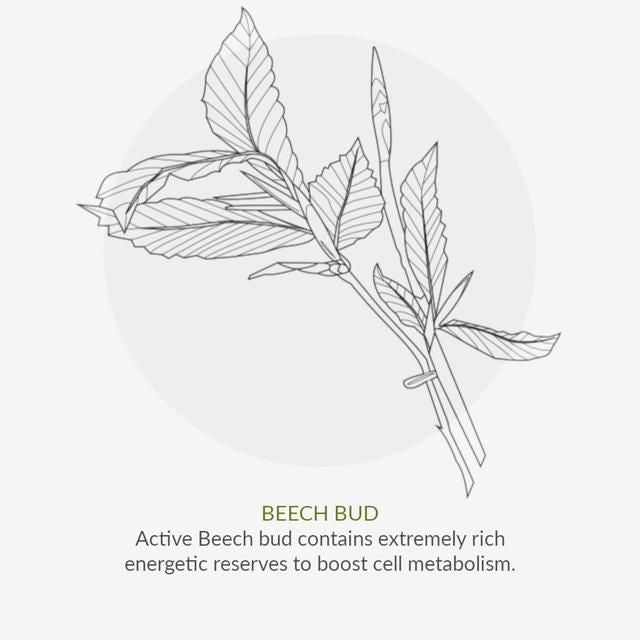 Green People Organic Hydrate & Renew Serum Age Defy+ by Cha Vohtz Vegan 30ml