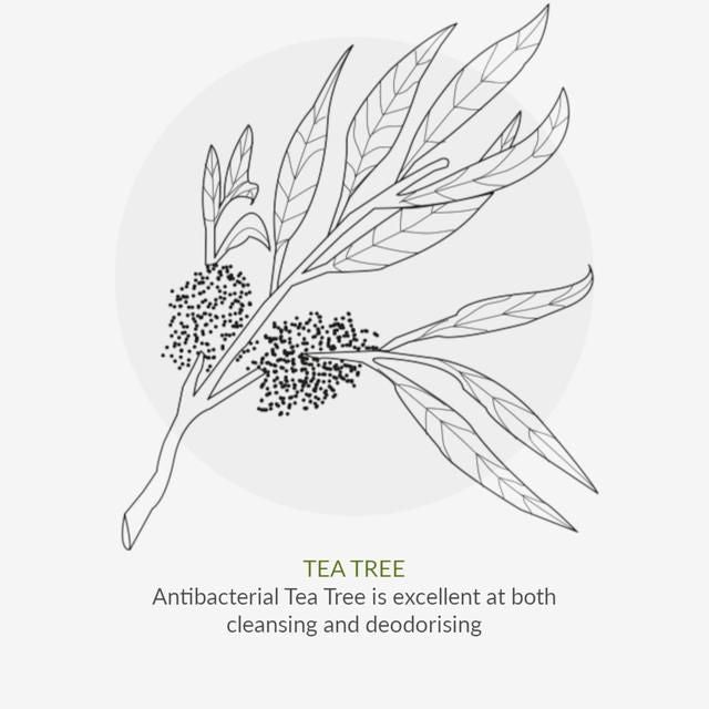 Green People Organic Men's Itch Away Shampoo Vegan 150ml