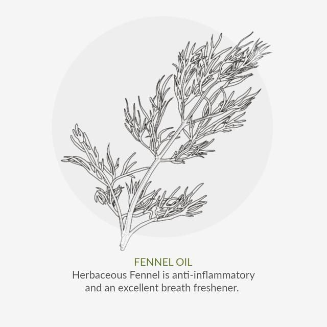 Green People Organic Toothpaste Fennel & Propolis 50ml