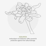 Green People SPF 15 Sun Cream With Tan Accelerator 200ml