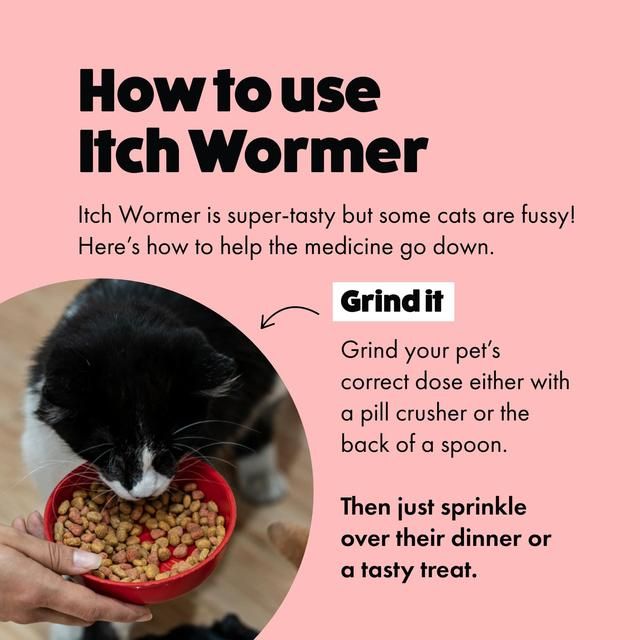 Itch Wormer Tablets For Cats (1kg +) 2 per pack