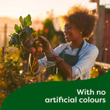 Knorr 4 Onion Gravy Pot 4 x 28g