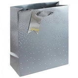 Eurowrap Ombre Gift Bag (Pack of 6) (M)