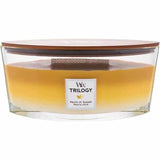 Woodwick Large Ellipse Trilogy Fruits Of Summer Kerze 22oz