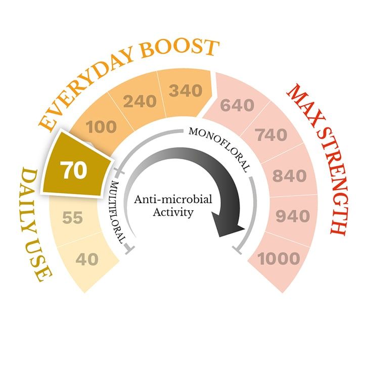 Manuka Doctor Manuka Honey MGO 240 500g