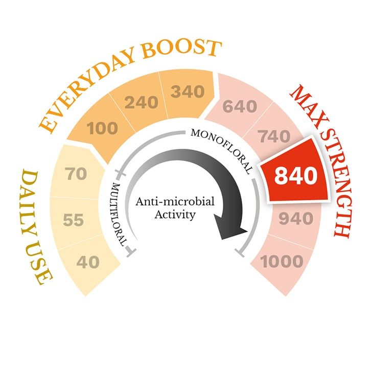 Manuka Doctor Manuka Honey MGO 240 500g