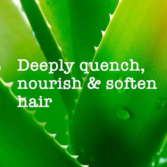 Maui Moisture Revive & Hydrate+ Shea Butter Hair Mask 340g