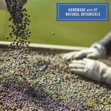 Monkey 47 Gin Kiosk Gift Set 15cl