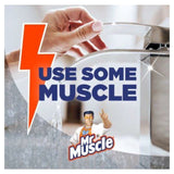 Mr Muscle Limescale Destroyer Spray 530ml