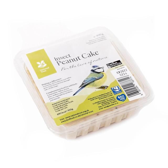National Trust CJ Wildlife Insect Peanut Cake 300g