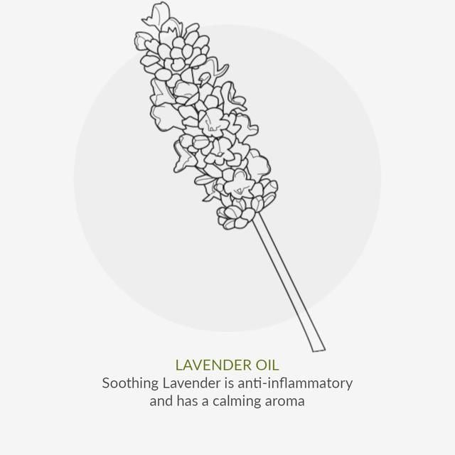 Organic Children Lavender Shampoo 220ml