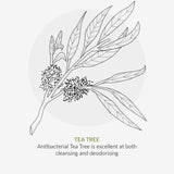 Organic Children Lavender Shampoo 220ml