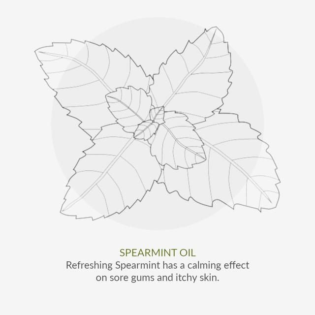 Organic Children Spearmint & Aloe Vera Fluoride Free Toothpaste 50ml