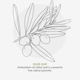 Organic Children Spearmint & Aloe Vera Fluoride Free Toothpaste 50ml