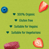 Organix Summer Fruits Rice Cake Clouds Baby Snack 7 months+ 40g