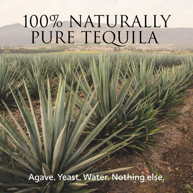 Patron Silver Tequila Mule Mugs Gift Pack 70cl