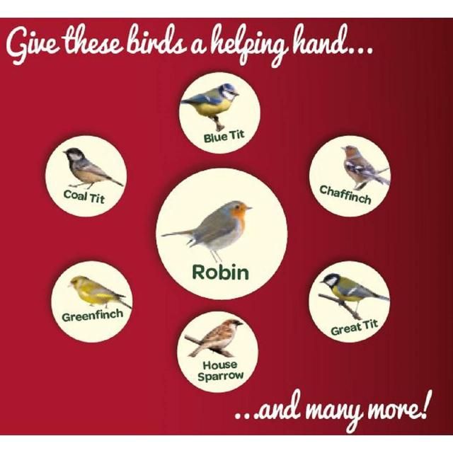 Peckish Robin Bird Seed and Insect Mix 1kg