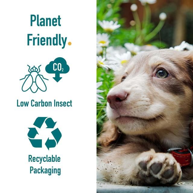 Percuro Insect Protein Puppy Small & Medium Breeds Dry Dog Food 2kg