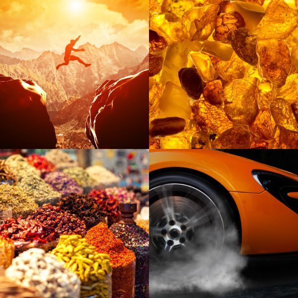 Perfumer's Choice No.10 By Mojo 50Ml Edp