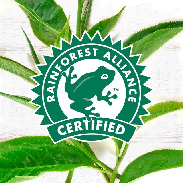 PG Tips Original Biodegradable Black Tea Bags 80 per pack