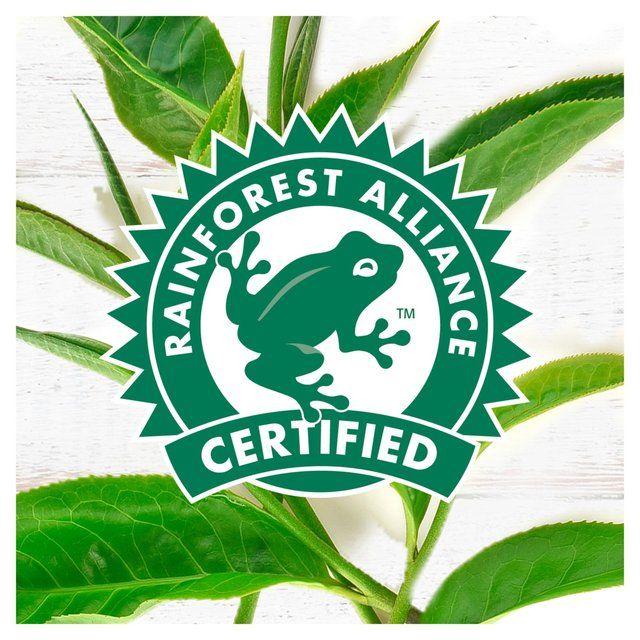 PG Tips Original Biodegradable Tea Bags 160 per pack