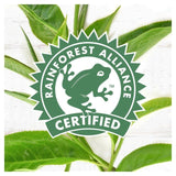 PG Tips Original Biodegradable Tea Bags 240 per pack