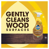 Pledge Expert Care Wood Cleaner Spray Aloe Vera 500ml