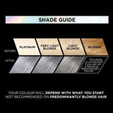 Preference Vivids (Colorista) Hair Dye Silver Grey 10.11