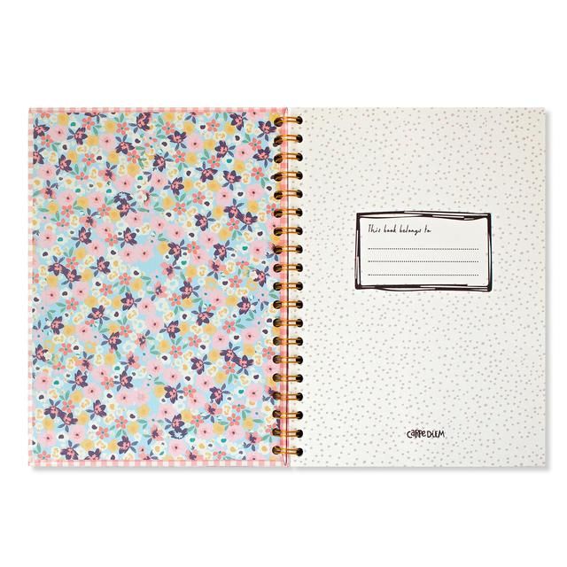 Pukka Pad - Carpe Diem B5 Spiral Hardcover Notebook Pink Check