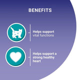 Purina One Senior 7+ Mini Fillets Salmon & Ocean Fish Wet Cat Food 8 x 85g