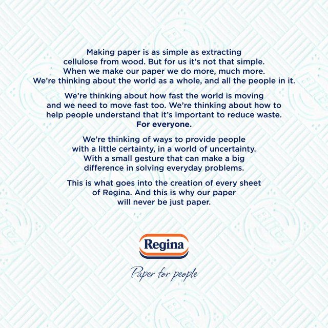 Regina Blitz Household Towel 3 per pack