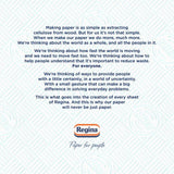 Regina Blitz Household Towel 3 per pack