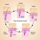 RESEED R12 Tri Peptide Hair Growth Serum for Women 30 ml