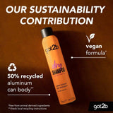 Schwarzkopf got2b Extra Texture Dry Shampoo 200ml