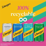 Schweppes Ginger Ale 12 x 150ml