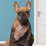 Spontex 100 Handy Latex Free Disposable Gloves 100 per pack