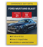 Activity Superstore Ford Mustang Blast