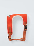 Dog Harness