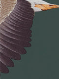 Sanderson Elysian Geese Wallpaper - McGrocer