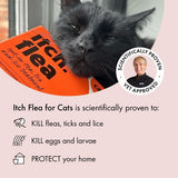 Itch Flea  Tick Spot On Treatment For Cats