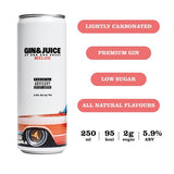 Gin  Juice Melon Can