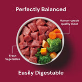 Nutriment Beef Formula Raw Dog Food