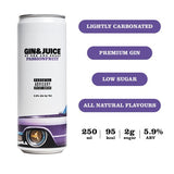 Gin  Juice Passionfruit Can