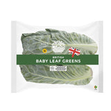 MS Baby Leaf Greens