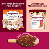 Haagen-Dazs Lotus Biscoff Biscuit Ice Cream