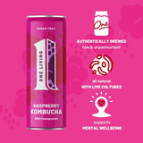 One Living Raspberry Kombucha Multipack