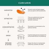 Together Health Turmeric  Curcumin Supplement