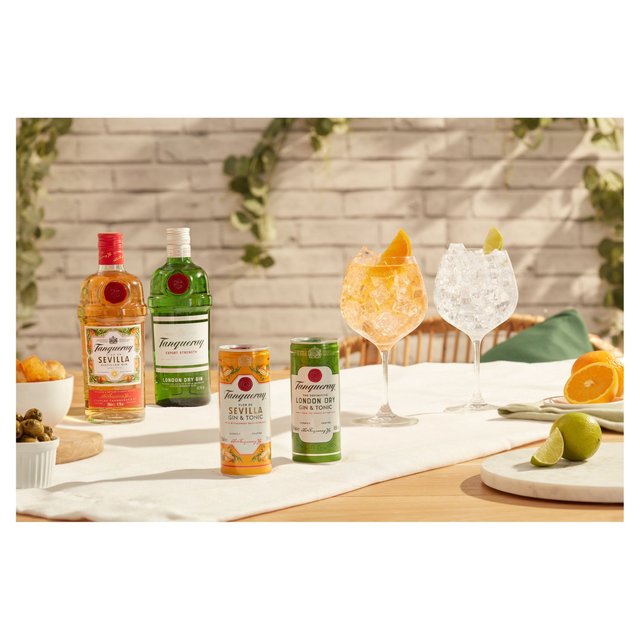 Tanqueray Flor De Sevilla Gin & Tonic Ready to Drink Can   250ml GOODS M&S   