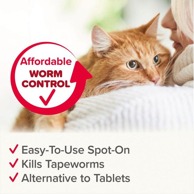 Beaphar WORMclear Worming Spot-On for Cats   6 per pack - McGrocer