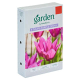 Sainsburys Tulips Purple Dream